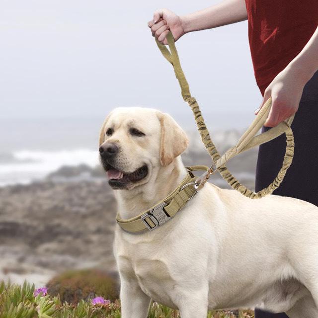 犬用リード ジン ドク リードセット 中型犬 大型犬 愛犬 愛犬 レトリバー