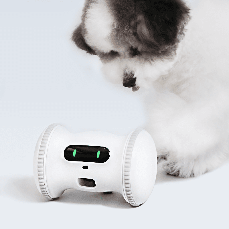 動く犬用おもちゃ フィットネス PRO