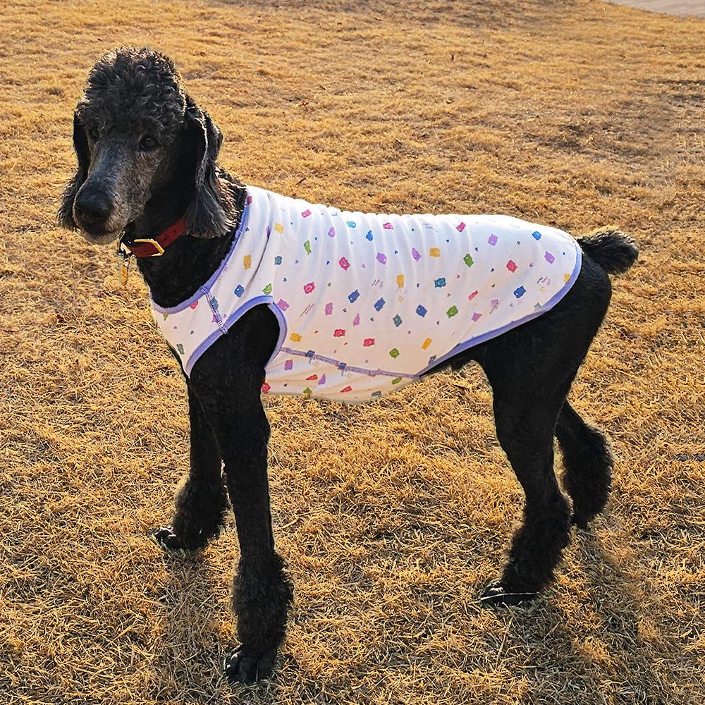 大型犬服 オーガニック タンクトップ Tシャツ 犬服 部屋着 젤리가족3xl