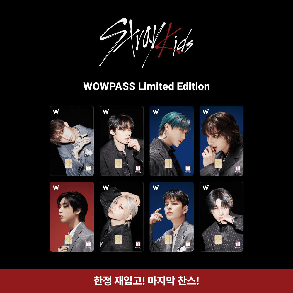 Stray Kids WOWPASS カード Stray Kids スキズ公式 WOWPASS T-moneyカード