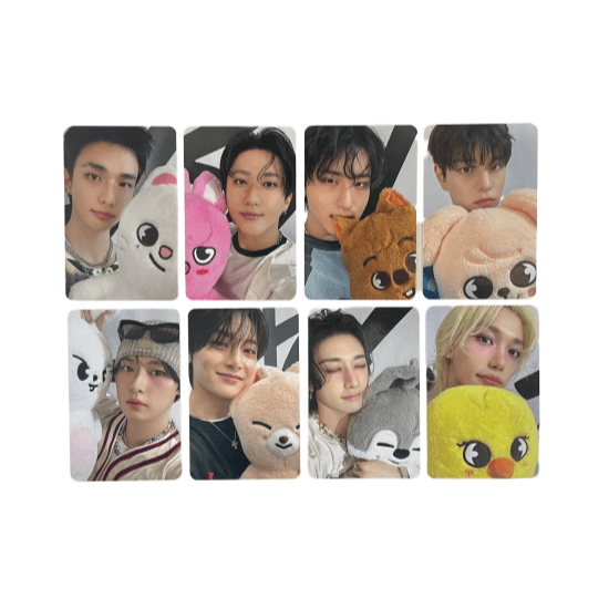 Stray Kids stray kids dominATE celebrATE ポップアップ ポカ ラッキードロー メンバー選択