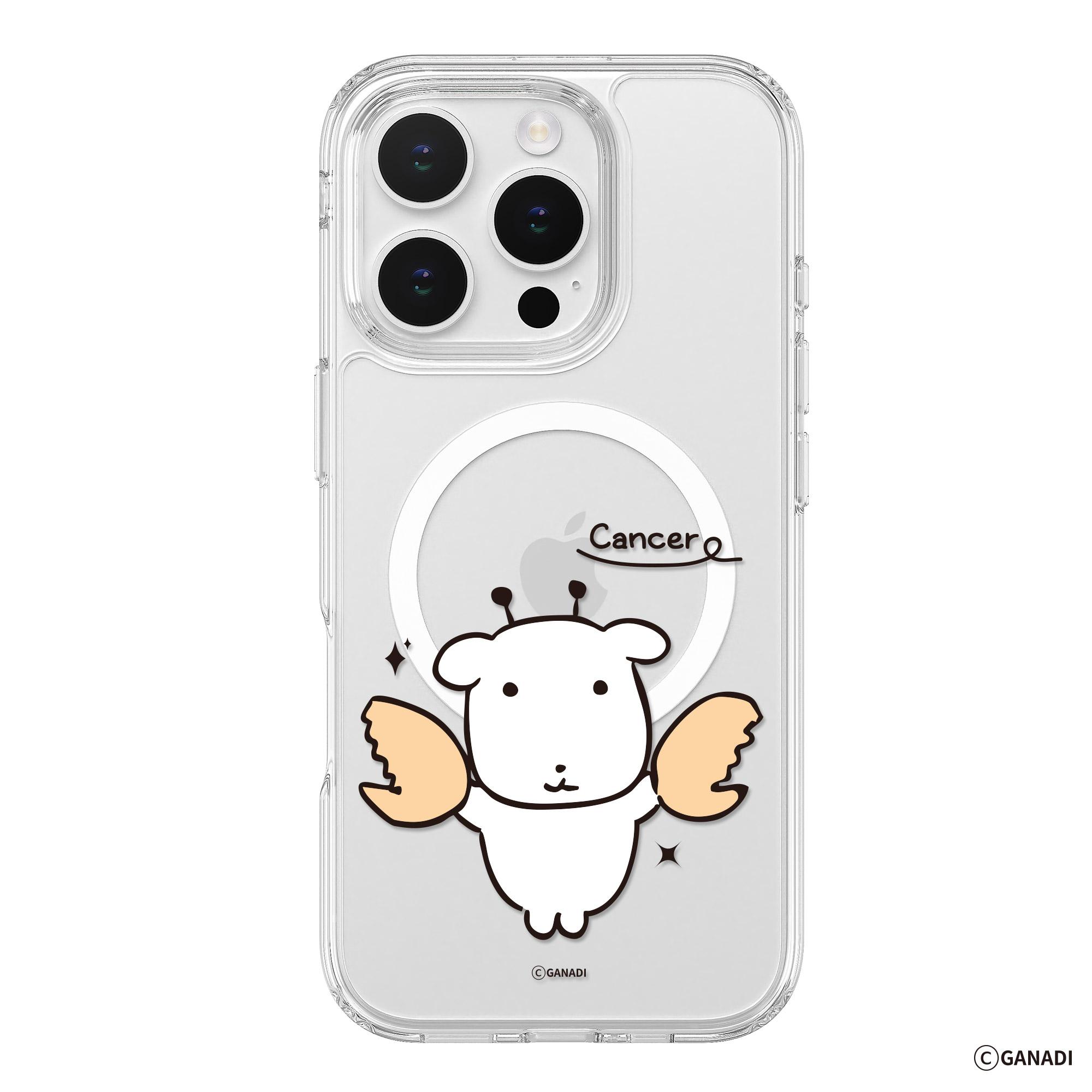 ganadi iPhone 15 Pro Max 퓨어쉴드 MagSafe 星座デザイン 透明バンパーケース