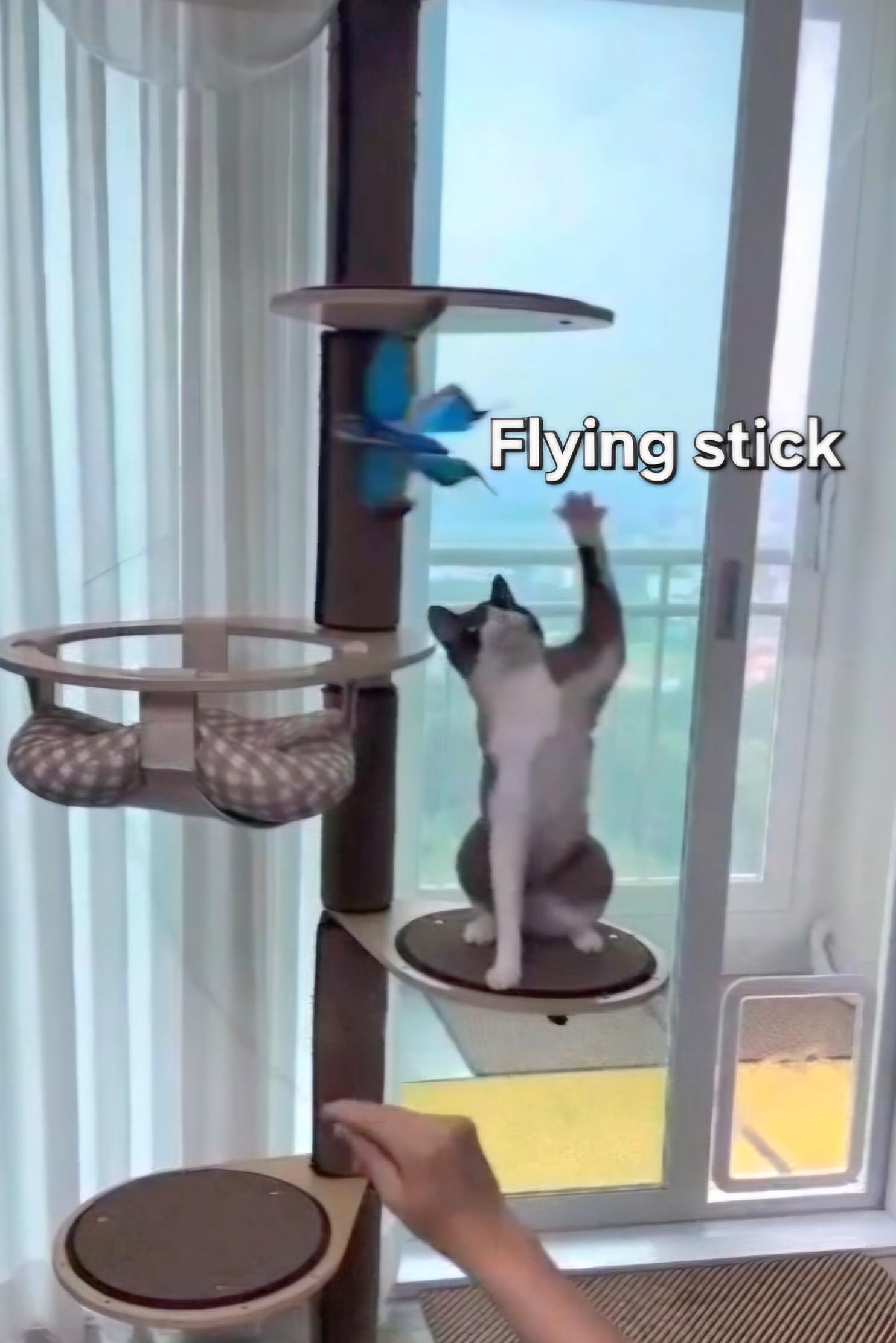 猫用おもちゃ 猫用釣り竿 フライングスティック 狩猟本能刺激 ツバメ ハト インコ カササギ カラス 蝶 トンボ