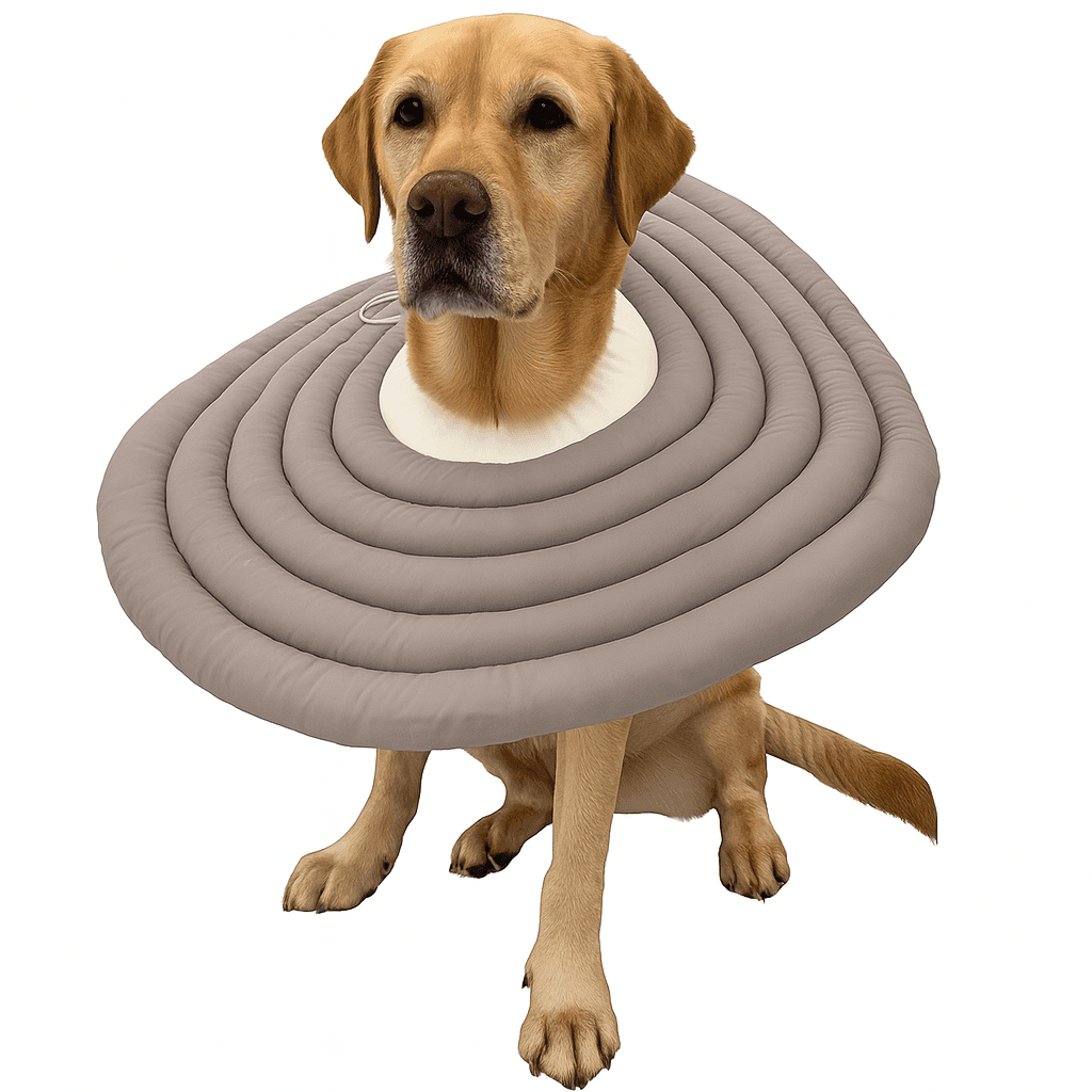 犬 ネックカラー 大型犬 中型犬 軽量 ネッククッション 2XL
