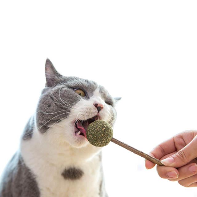 CATWANT 猫用 またたび キャンディ