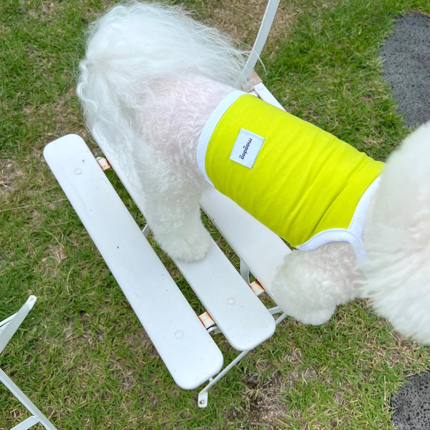 매그독クーリングスイミングクロップドTシャツアイスTシャツ冷感犬服