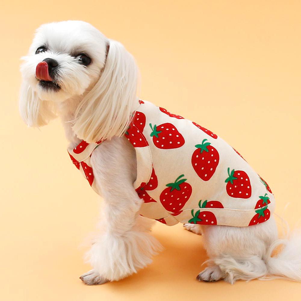 犬 夏服 いちご リボン タンクトップ Tシャツ プードル ビション ワンピース ペット Tシャツ S