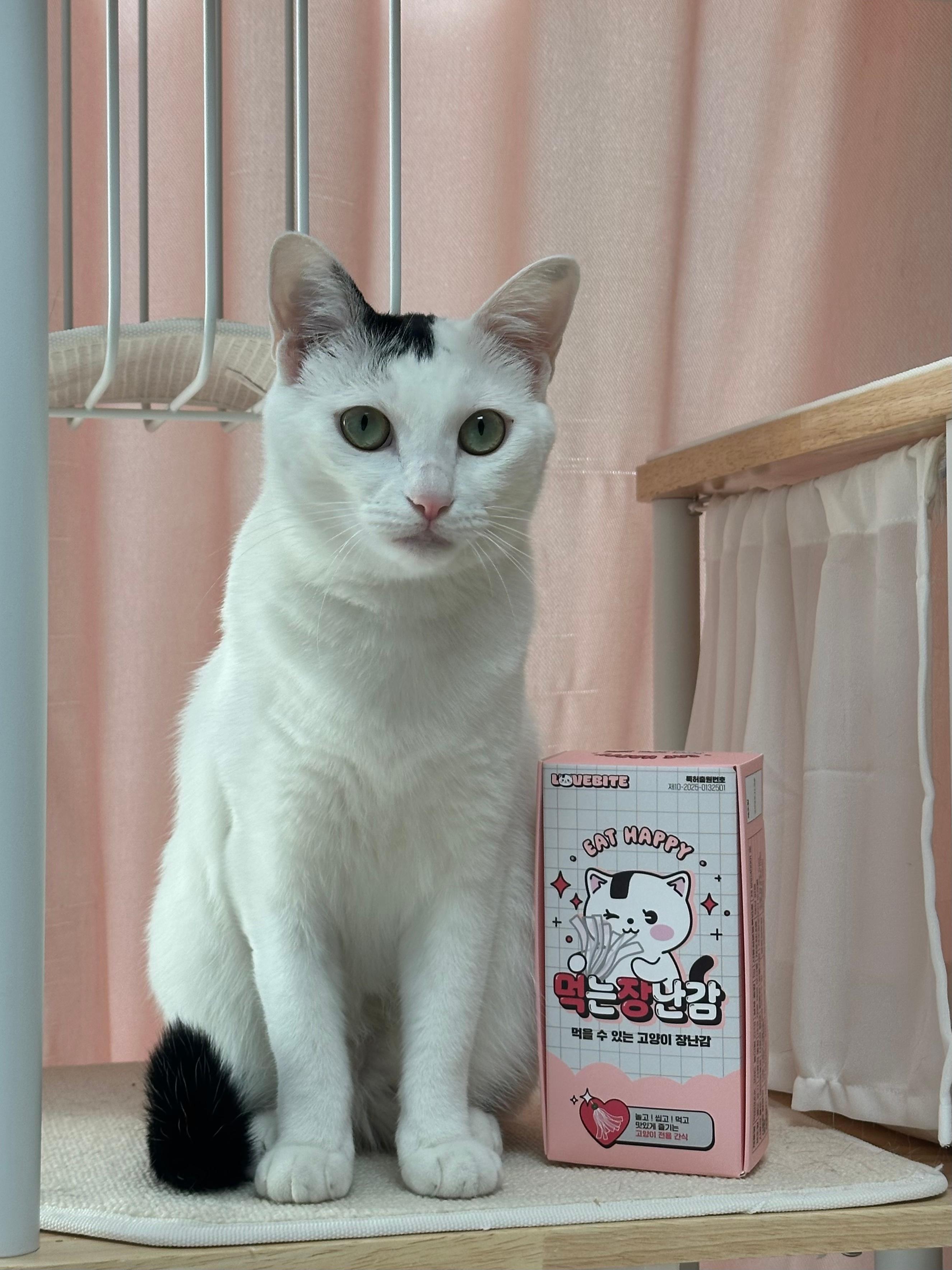 러브바이트 먹어도 되는 고양이 먹는 장난감 먹장