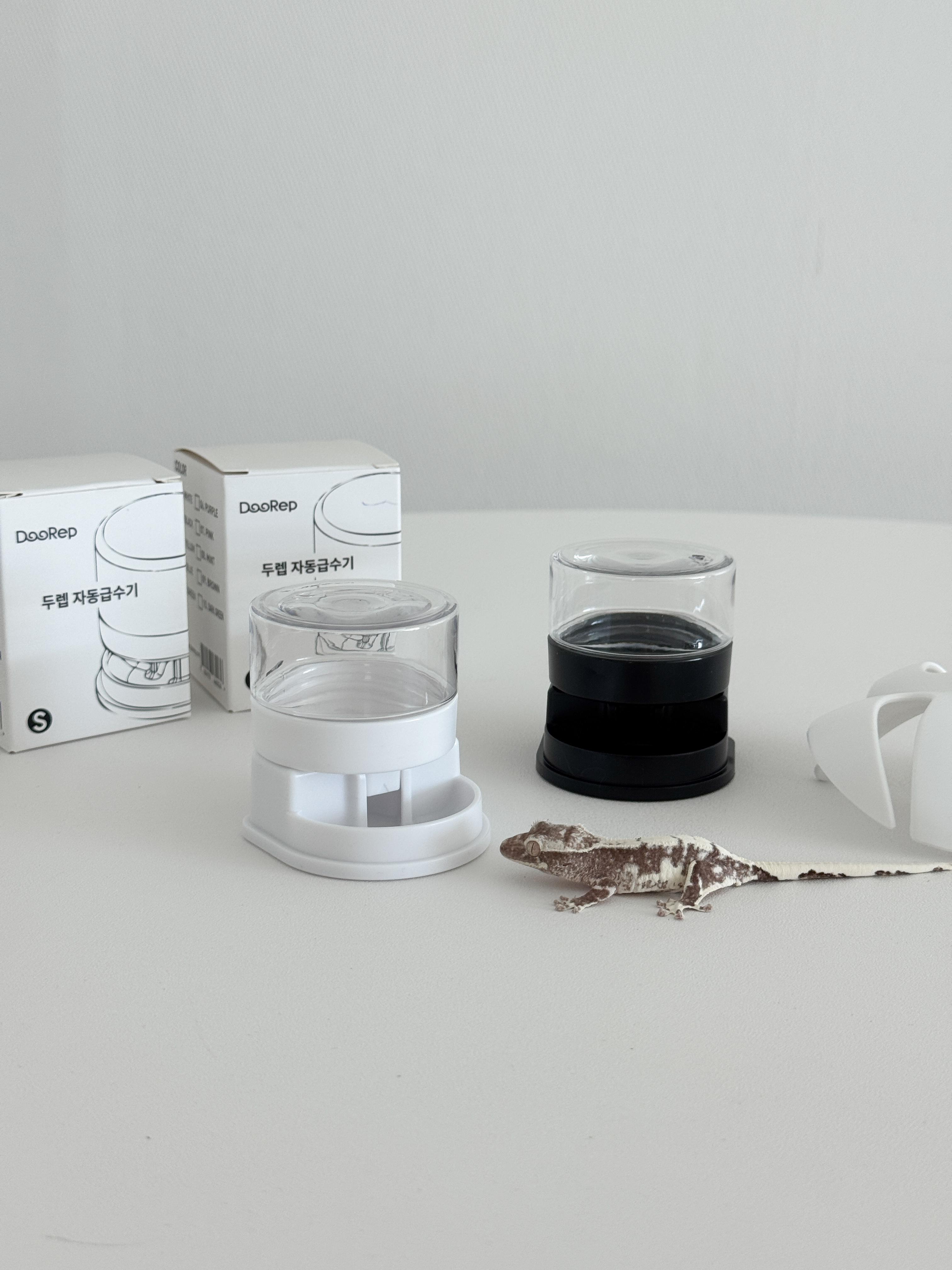 ドゥレップ自動給水器、水飲みボウル、クレステッドゲッコー、ヤモリ、爬虫類用品