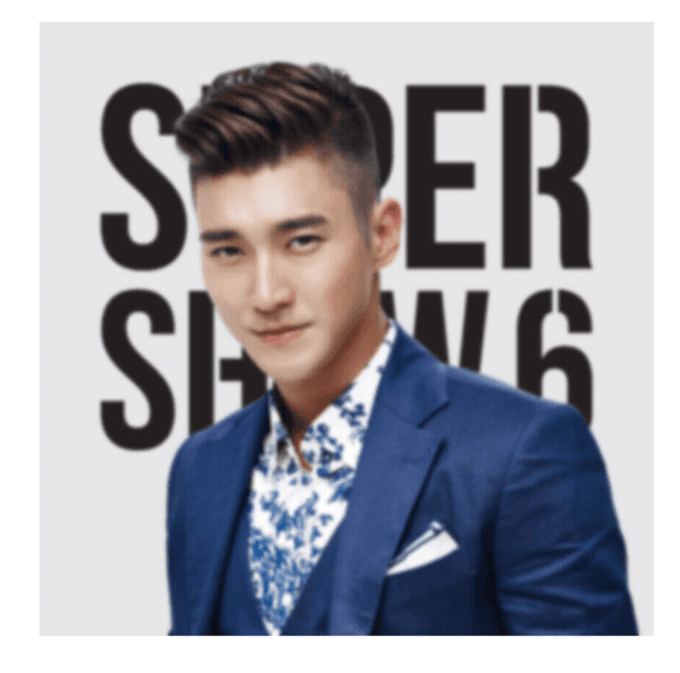(在庫あり 即日発送) SUPER JUNIOR (Super Junior) SUPER SHOW 6 クッションカバー [シウォン]