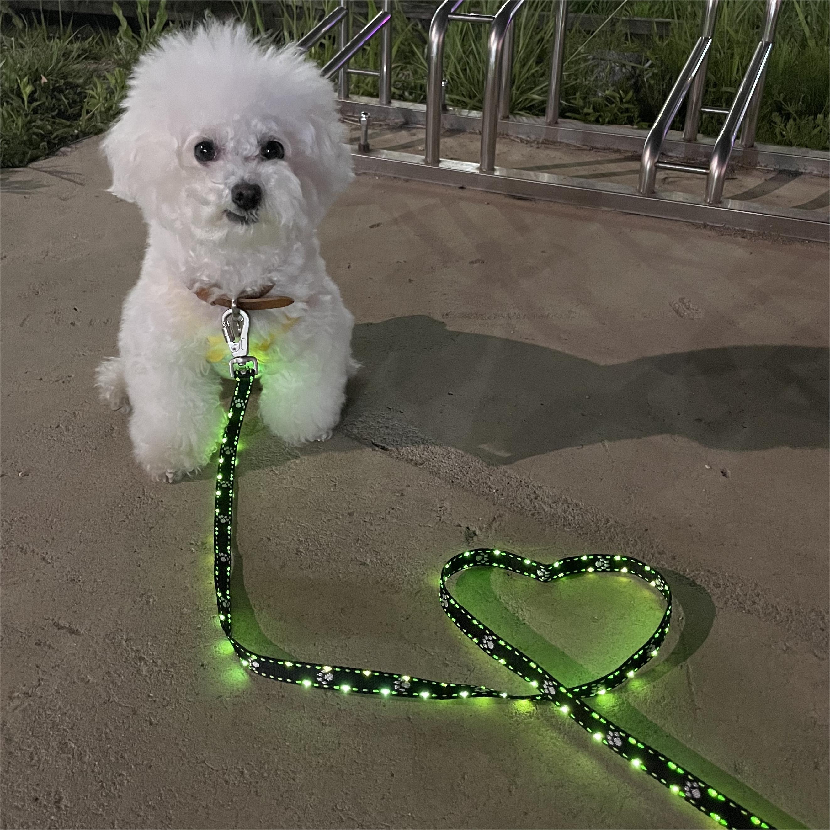[본사직판] 자체 개발 핀아펫 강아지 LED 리드줄 애견 야간 안전 목줄 하네스