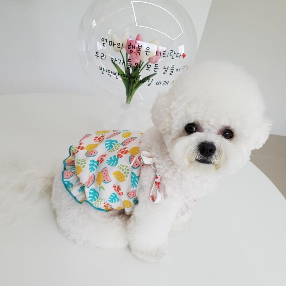 犬服 天然人絹 無蛍光 タンクトップ 夏服