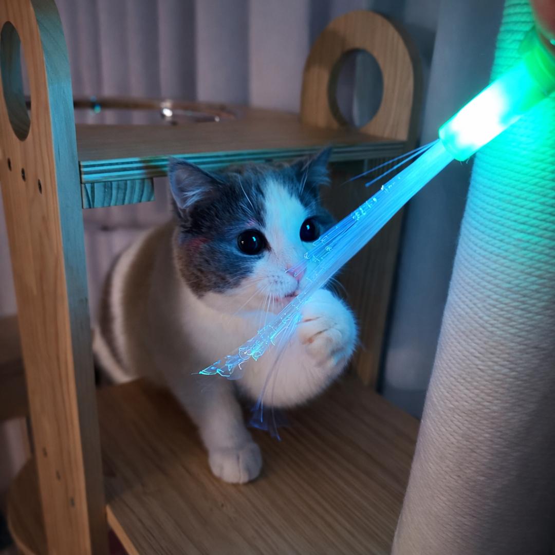 猫 釣り竿おもちゃ 光ファイバー 釣り竿 猫おもちゃ コンパニオンキャット ストレス解消
