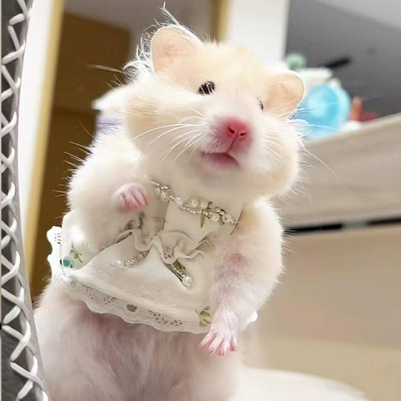 ハムスター服 コスチューム ハムスター用品 トカゲ 小動物用 恐竜 リボン アクセサリー シュガーグライダー服 ゴールデンハムスター ベスト