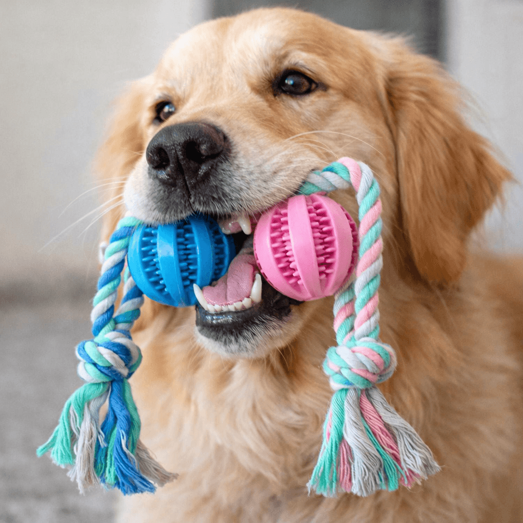 愛犬トイ 犬用おもちゃ デンタル 歯垢除去 歯固め 綱引き 訓練 飼い犬 噛む ねじれ 歯石