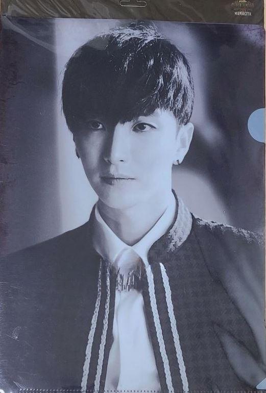 (SUPER JUNIOR イトゥク Lホルダー クリアファイル) SUPER JUNIOR SJ MAMACITA AYAYA CLEAR FILE L-HOLDER SM LOTTE POP UP GOODS