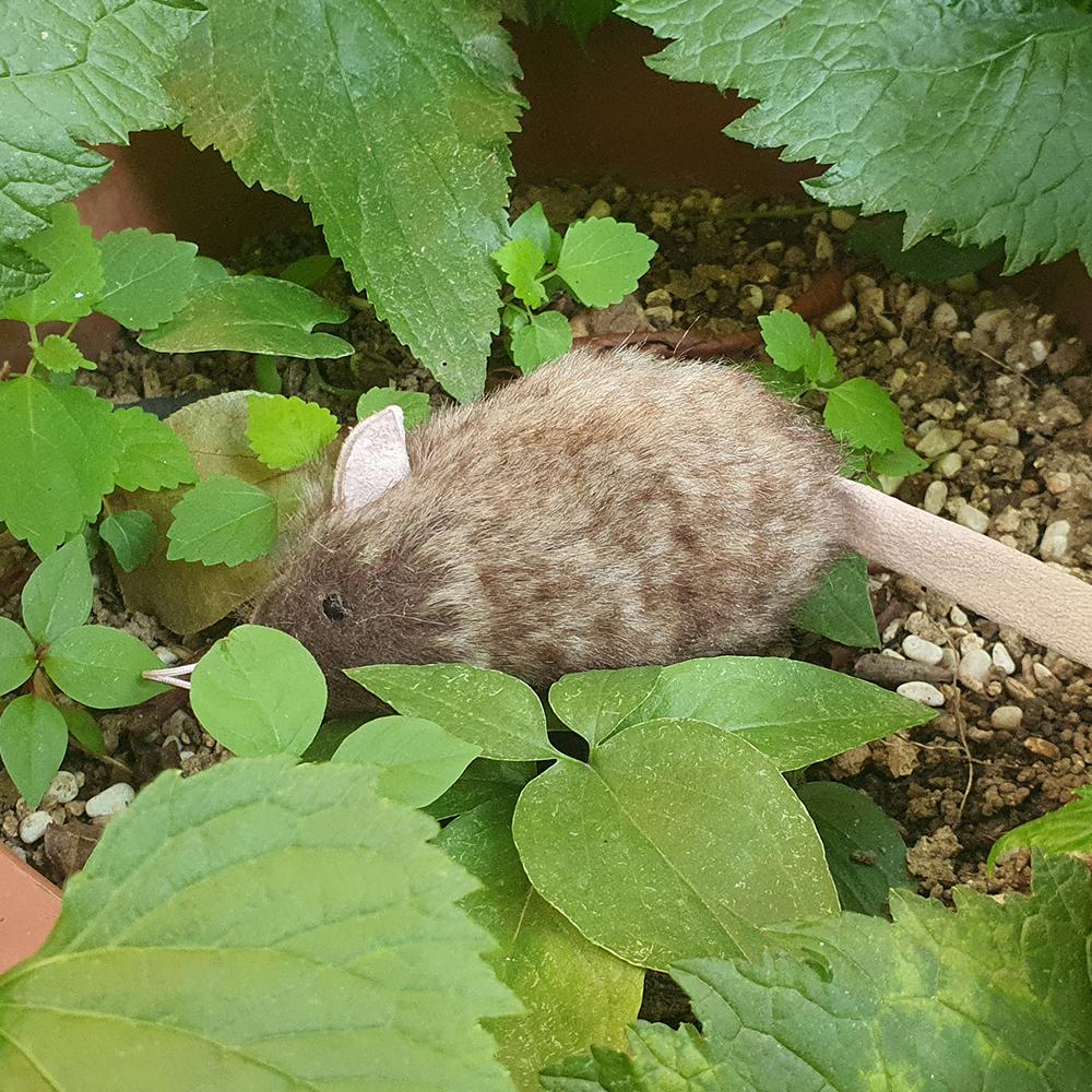 フィクスドスター キャットニップ マタタビ 香り広がるネズミ 猫用おもちゃ