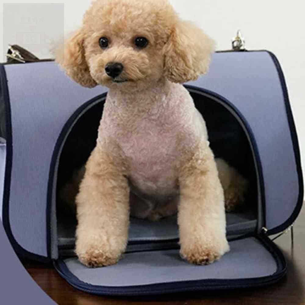 ホホショップ ドーム ペットキャリー ブルー M 犬用バッグ 移動バッグ パリスドッグ