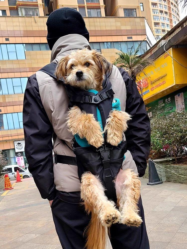 犬用スリング 犬用 小型犬 ペットキャリー リュック スリングバッグ 中型 移動バッグ