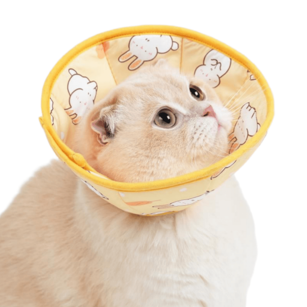 アルツルペット 猫用ネックカラー 用去勢手術ネックカラー 犬用 クッション 超軽量 保護 S イエロー