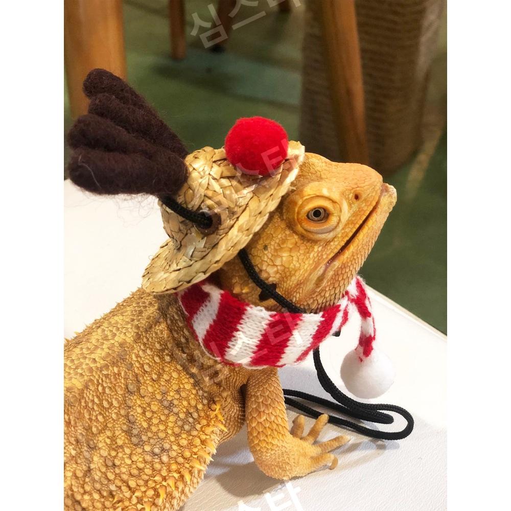 トカゲクリスマス衣装服セット ペット爬虫類コスプレサンタ