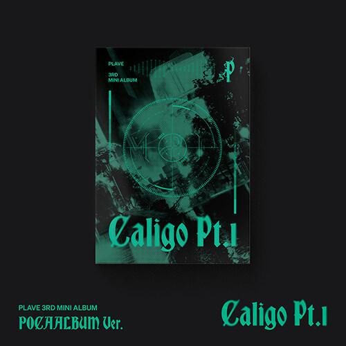 PLAYVE PLAVE - Caligo POCAALBUM ポカアルバム