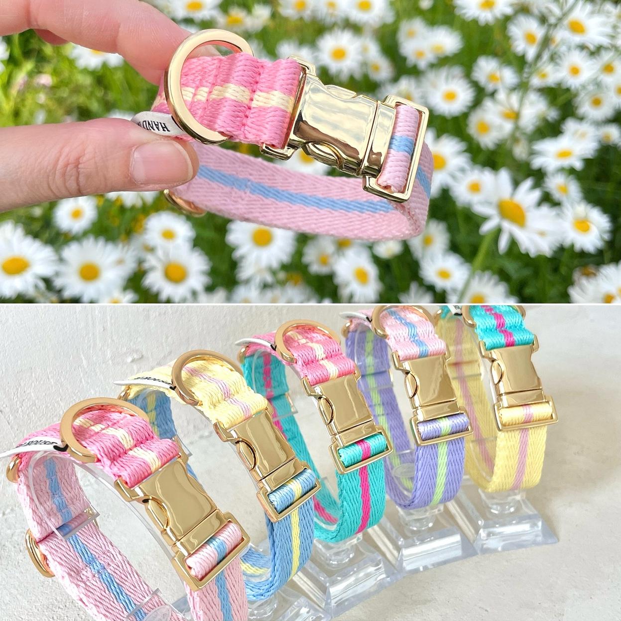  (롤리팝 Two Tone) 포리하우스 パステル 犬用 セーフ ハンドメイド リード 小型犬 中型犬