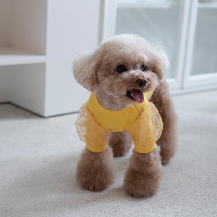 犬服 部屋着 デイリーTシャツ 外出着 中型犬服