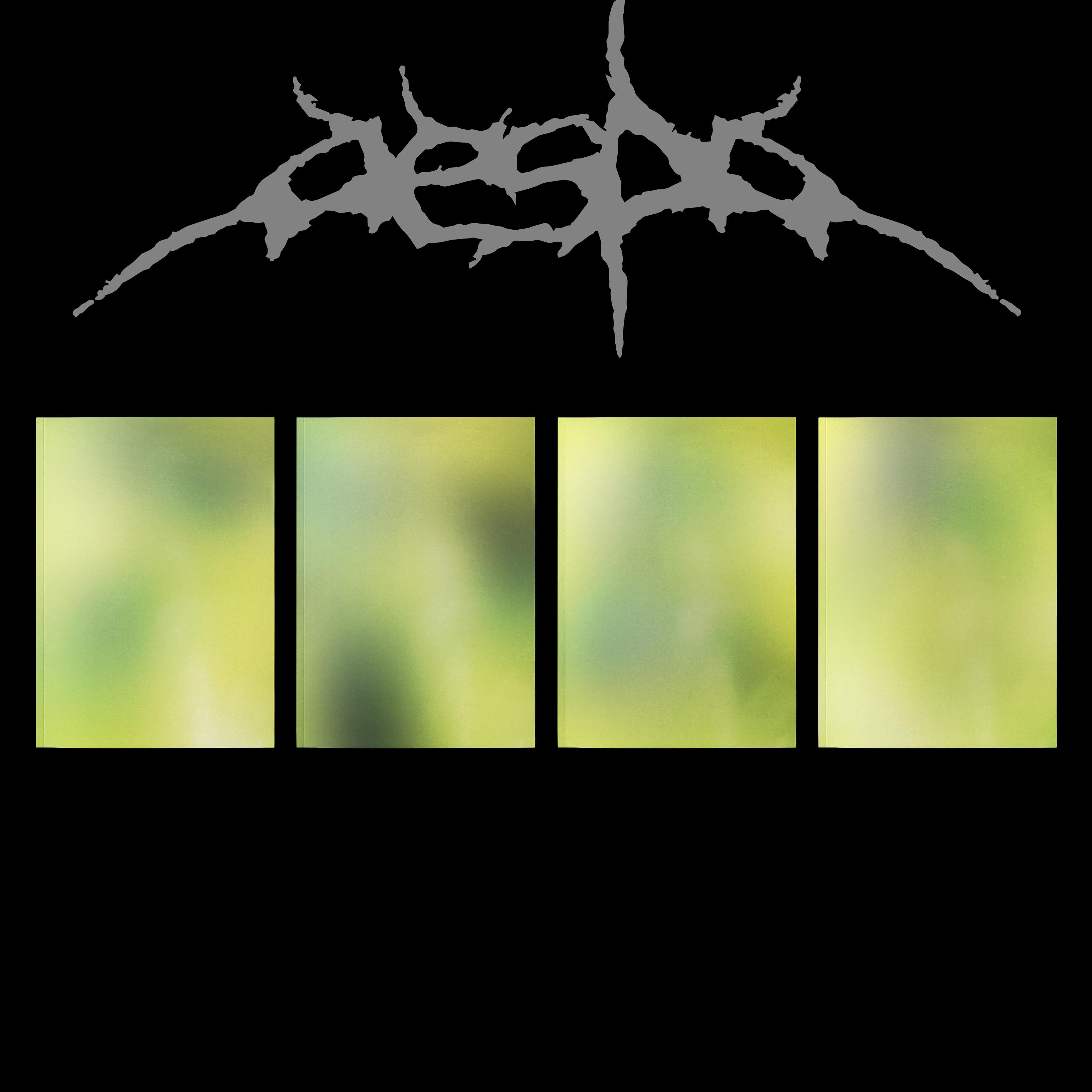 aespa 正規2集アルバム LEMONADE ACID