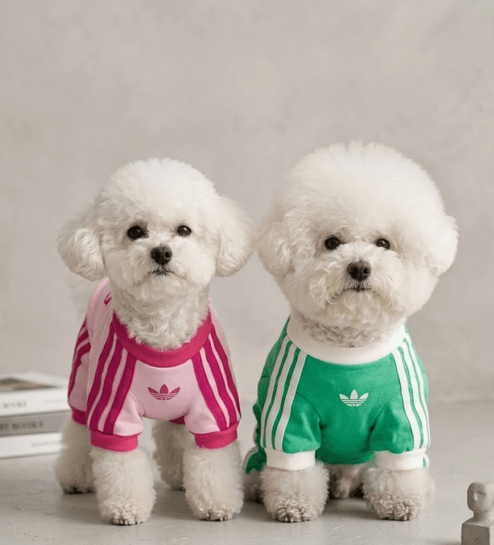 アディダス 犬服 ペット用品 ギャリティ 犬用 半袖Tシャツ 猫 ペット用Tシャツ