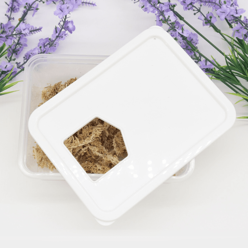 마이크레 湿潤シェルター クレステッドゲッコー 産卵筒 水苔筒