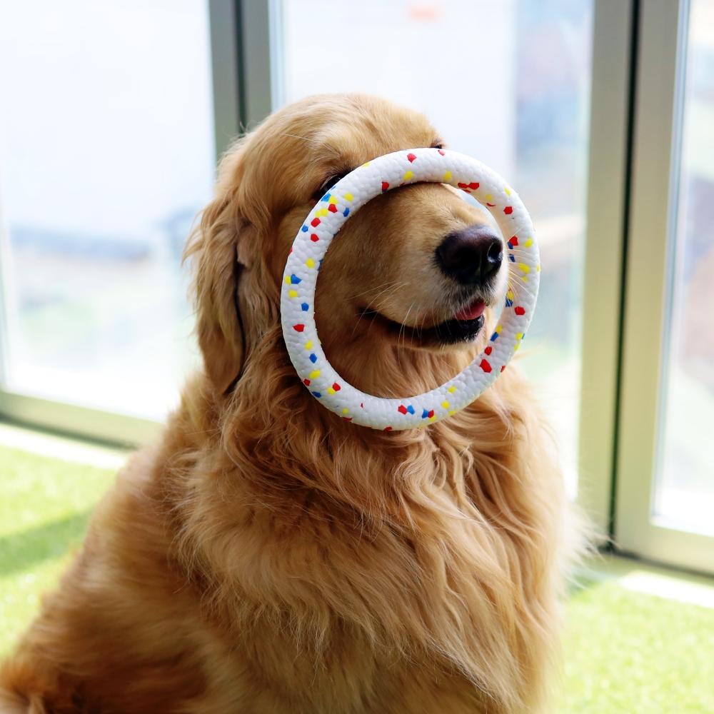丈夫な犬用 綱引きおもちゃ リング