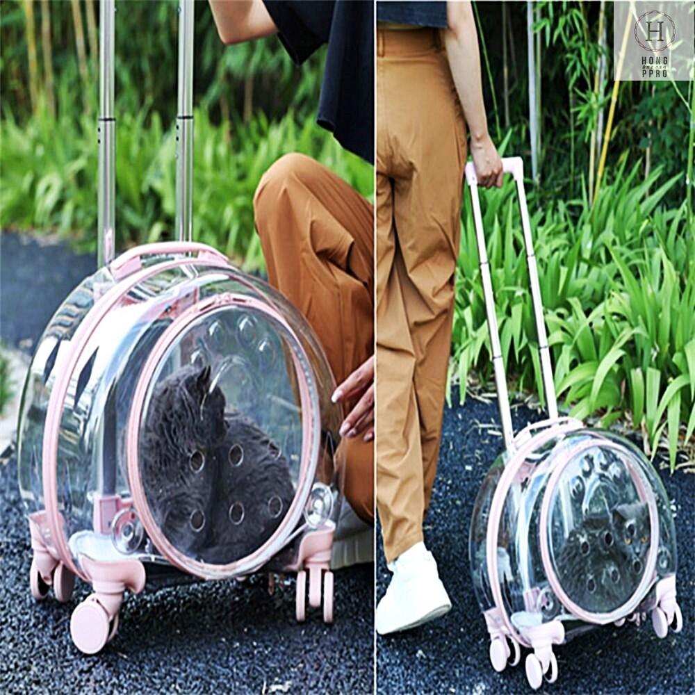 고양이 우주선 가방 대중교통 고양이 병원용 우주선 투명 백팩 펫 캐리어 이동 가방