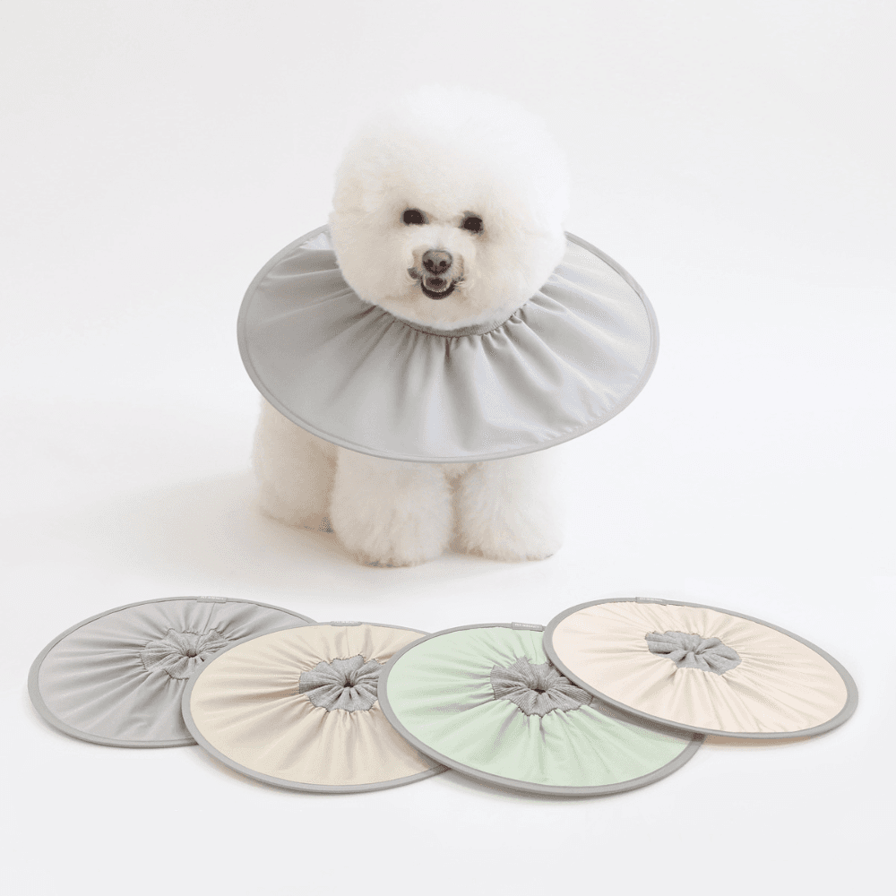 Pet in Beauty Zero Collar