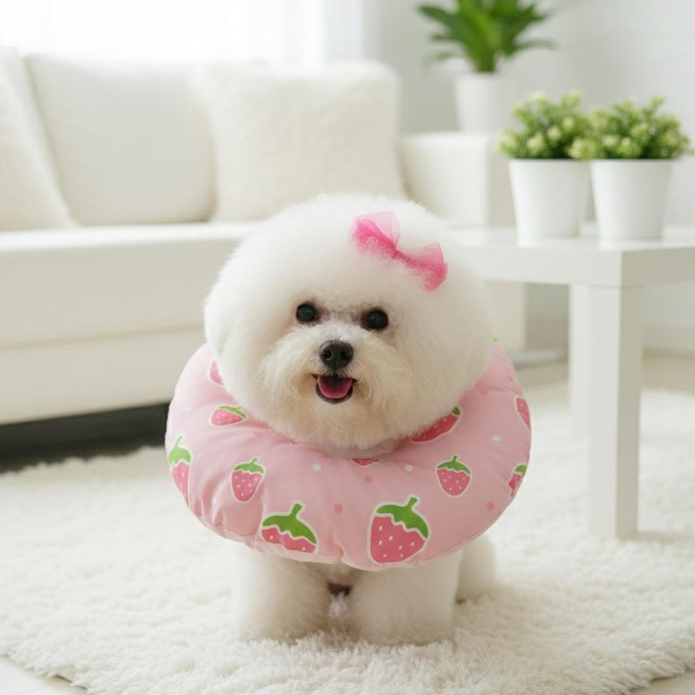 리치독스 강아지넥카라 고양이 애견 넥카라 양면시리즈