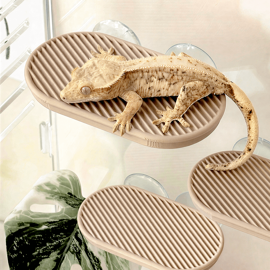 크레스티드게코 모노 백업 도마뱀 은신처 사육장 크레 소 BEIGE