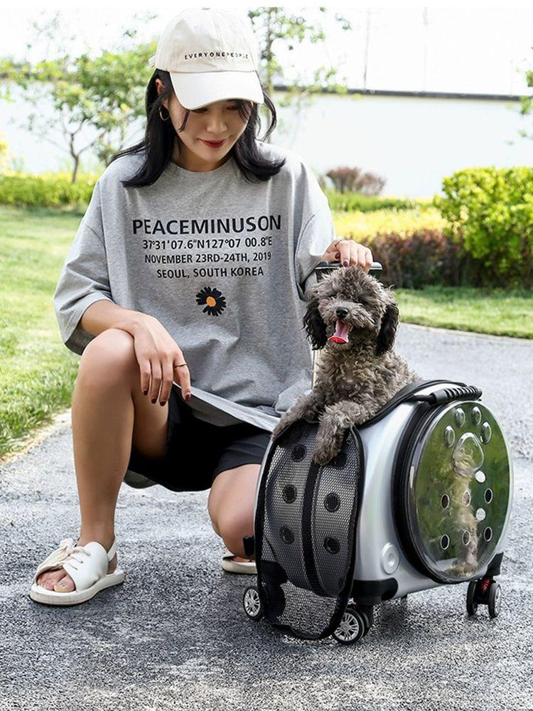 透明移動バッグ ペットキャリー バスケット お出かけ 猫 犬 バッグ