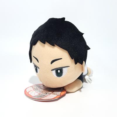 【正規品】 하이큐 16cm 봉제인형 아카아시 인형 키링 가방고리 누이구루미 굿즈 /키키샵