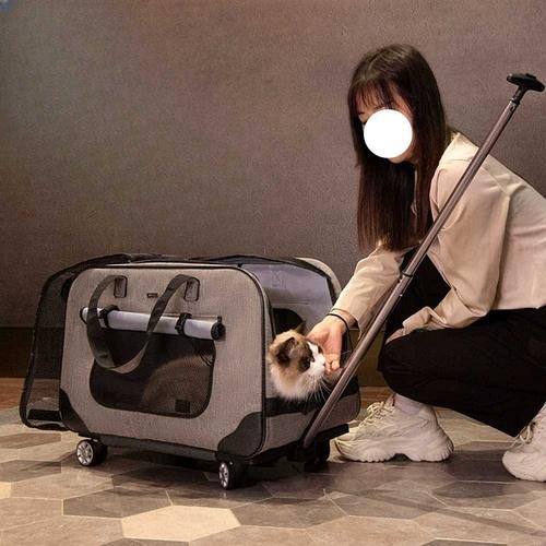 펫캐리어 투명 바퀴달린 가방 고양이 애완동물 이동장