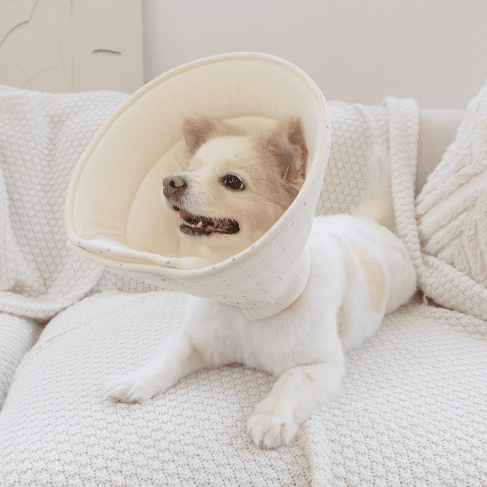 [B Grade Type C] Poribori Organic Cloud Neck Collar Dog Cat Sterilization Funnel Cushion Neck Protector M