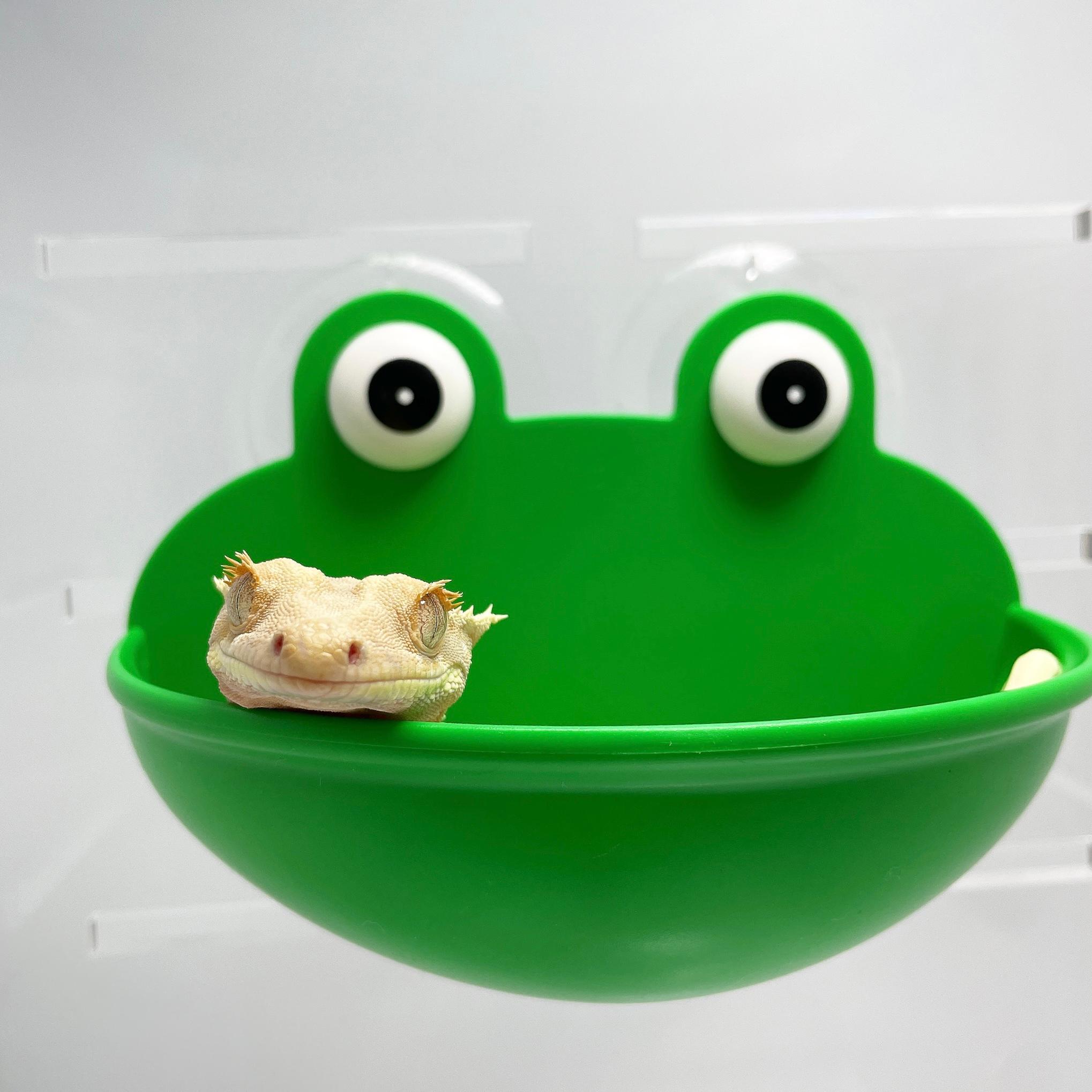 Ribbit Hideout Reptile Crested Gecko Amphibian Frog Attachment Terrarium Decor Supplies