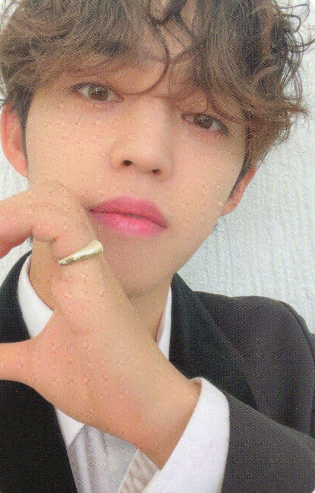[エスクプス] セブンティーン SEVENTEEN FML キャロットアルバム 写真3 ポストカード ポカ