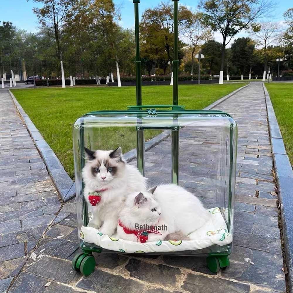반려동물 강아지 고양이 펫 캐리어 휴대용 이동식