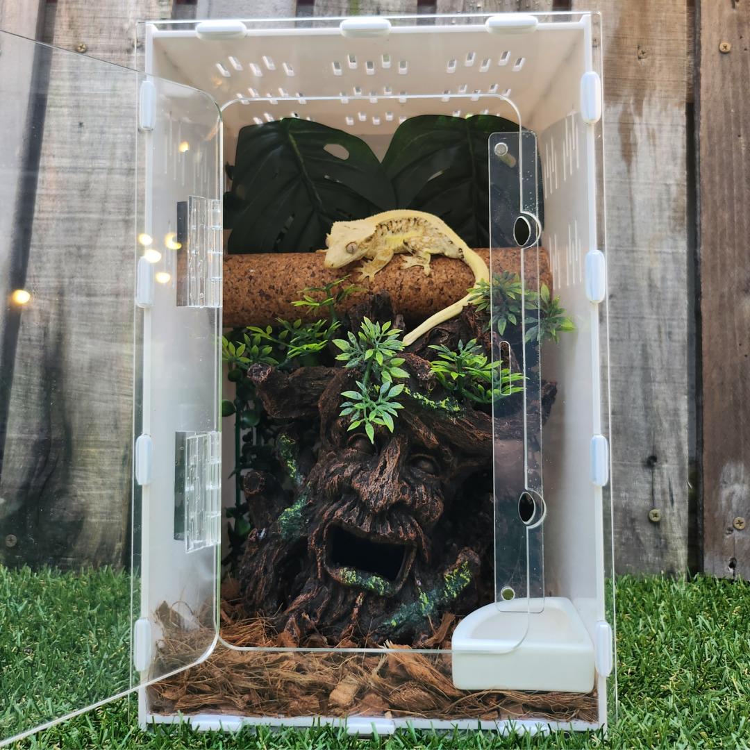 クレステッドゲッコー 飼育ケース トカゲ 爬虫類 隠れ家 フルセット