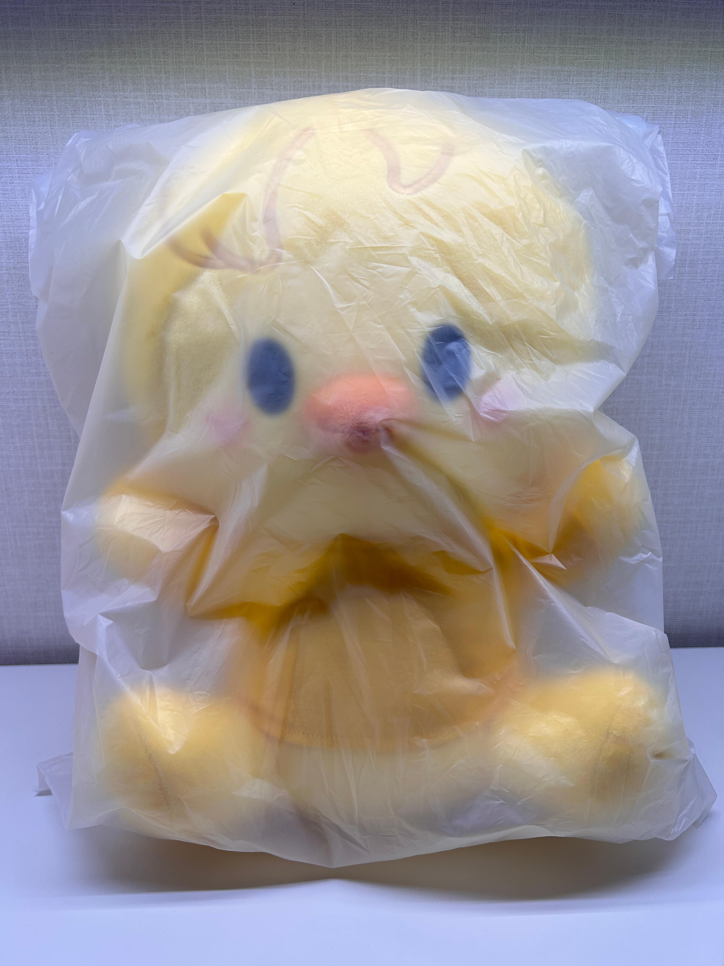 SKZOO PLUSH HUG ME ぬいぐるみ ポッカル Stray Kids ポップアップ グッズ