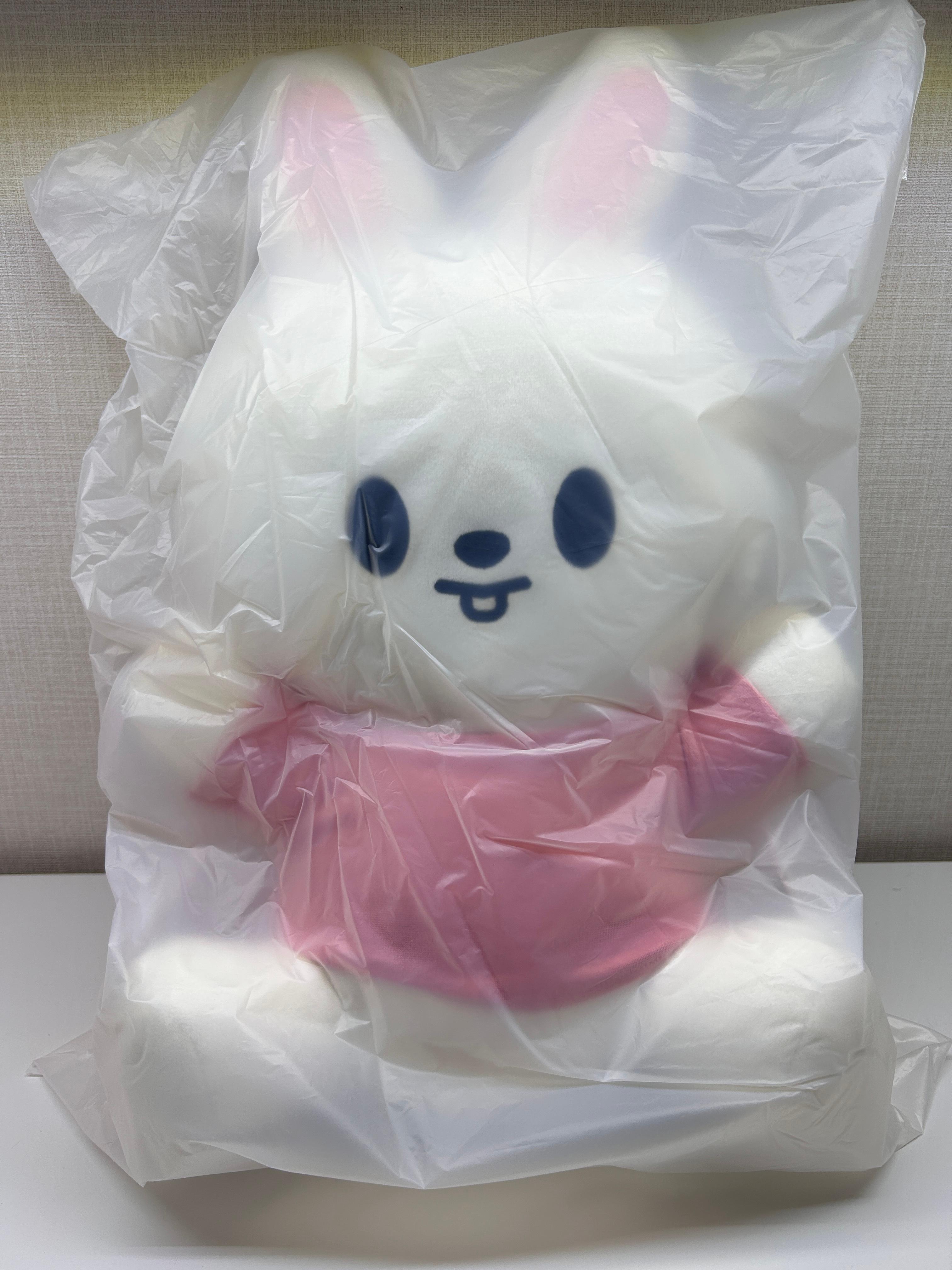 SKZOO PLUSH HUG ME ぬいぐるみ リビット Stray Kids ポップアップ グッズ