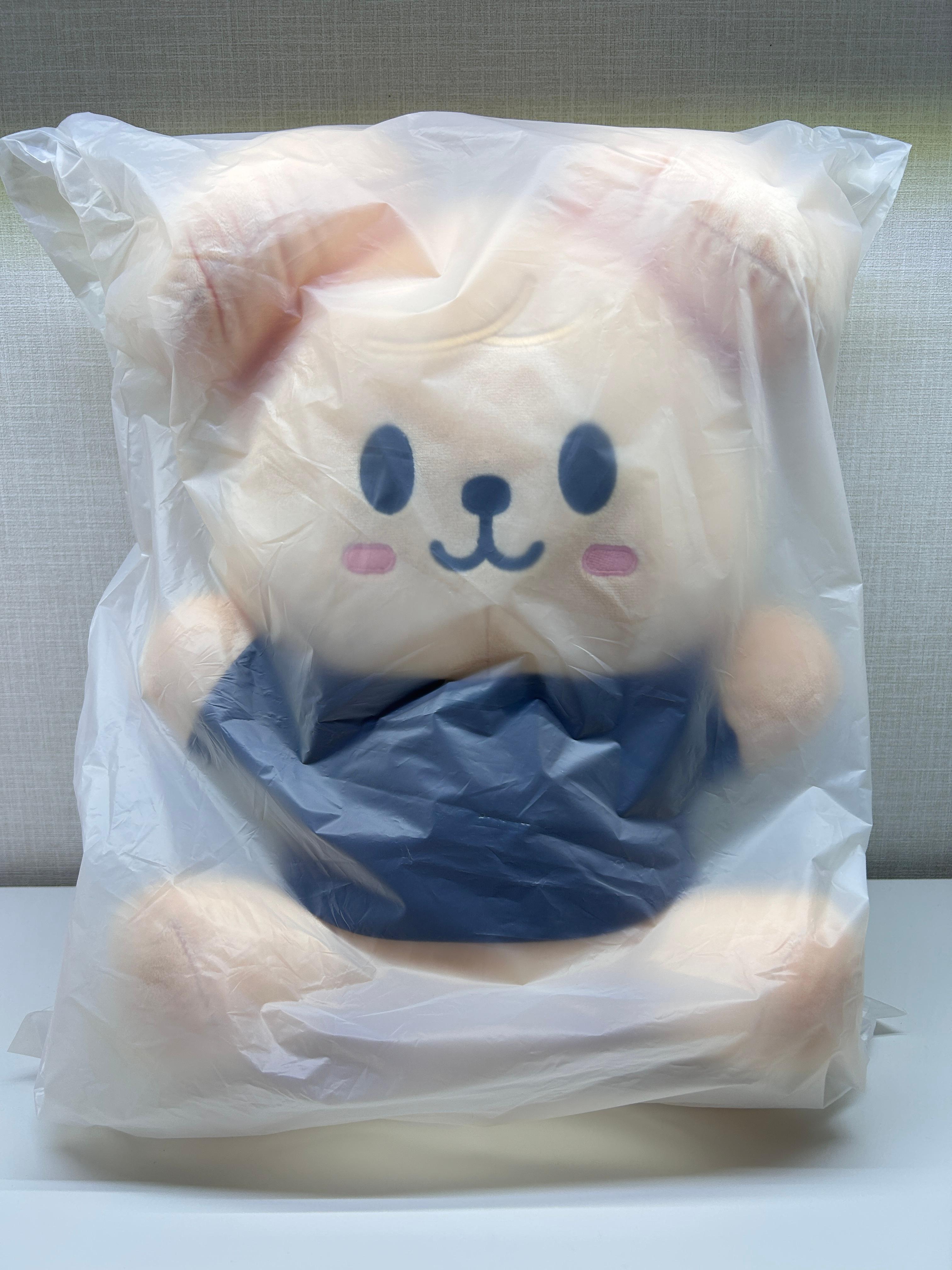 スキズ SKZOO PLUSH HUG ME ぬいぐるみ 퍼핌 Stray Kids ポップアップグッズ