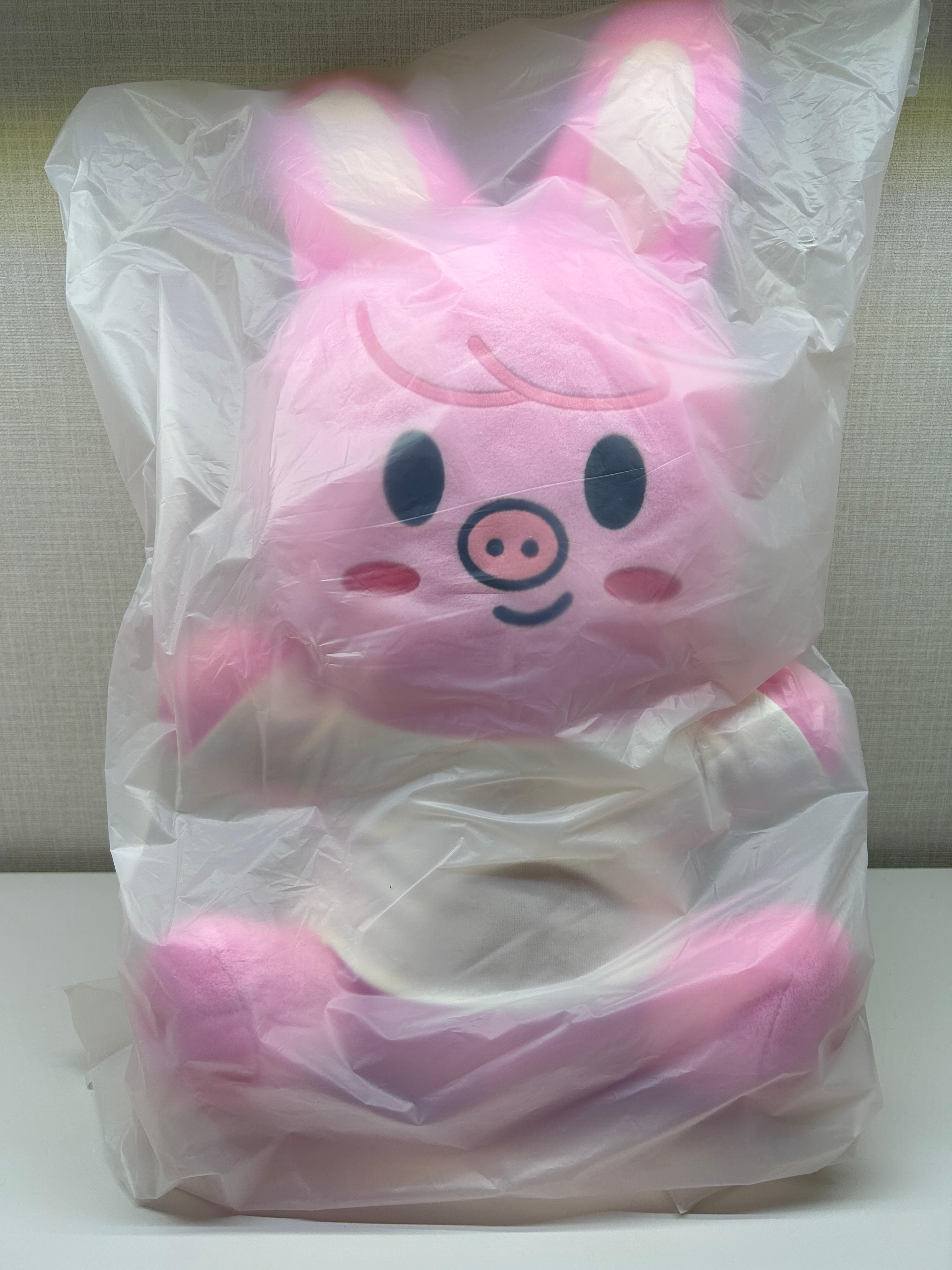 スキズ SKZOO PLUSH HUG ME ぬいぐるみ 돼끼 Stray Kids ポップアップグッズ