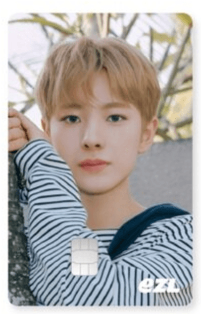 (在庫あり) NCT WISH NCT WISH COLOR EZL ICカード 유우시