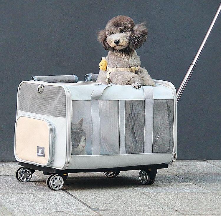 猫用移動バッグ ドーム型 折りたたみ式 犬用ケネル 愛犬用ペットキャリー 散歩 フォールディング